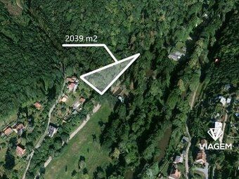Hledáte investici, která vám zajistí stabilní a rostoucí hod
