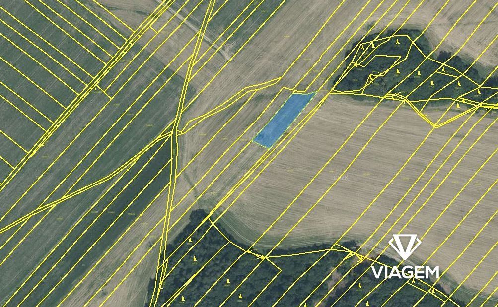 Hledáte investici, která vám zajistí stabilní příjem a ochra