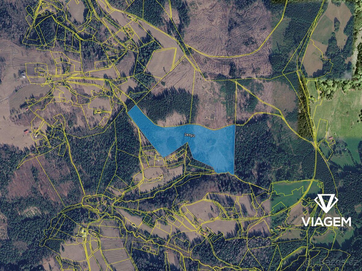 Nabízíme lesní pozemky v katastrálním území Valašská Bystřic