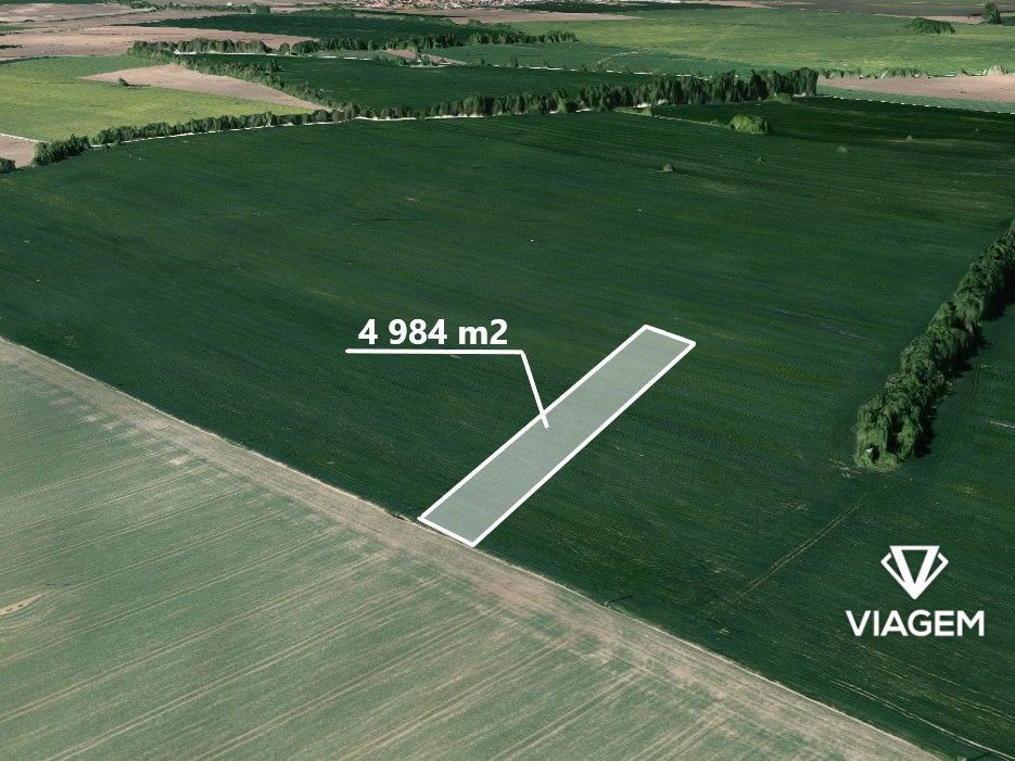 Hledáte ideální investici do budoucnosti? Co takhle pořízení