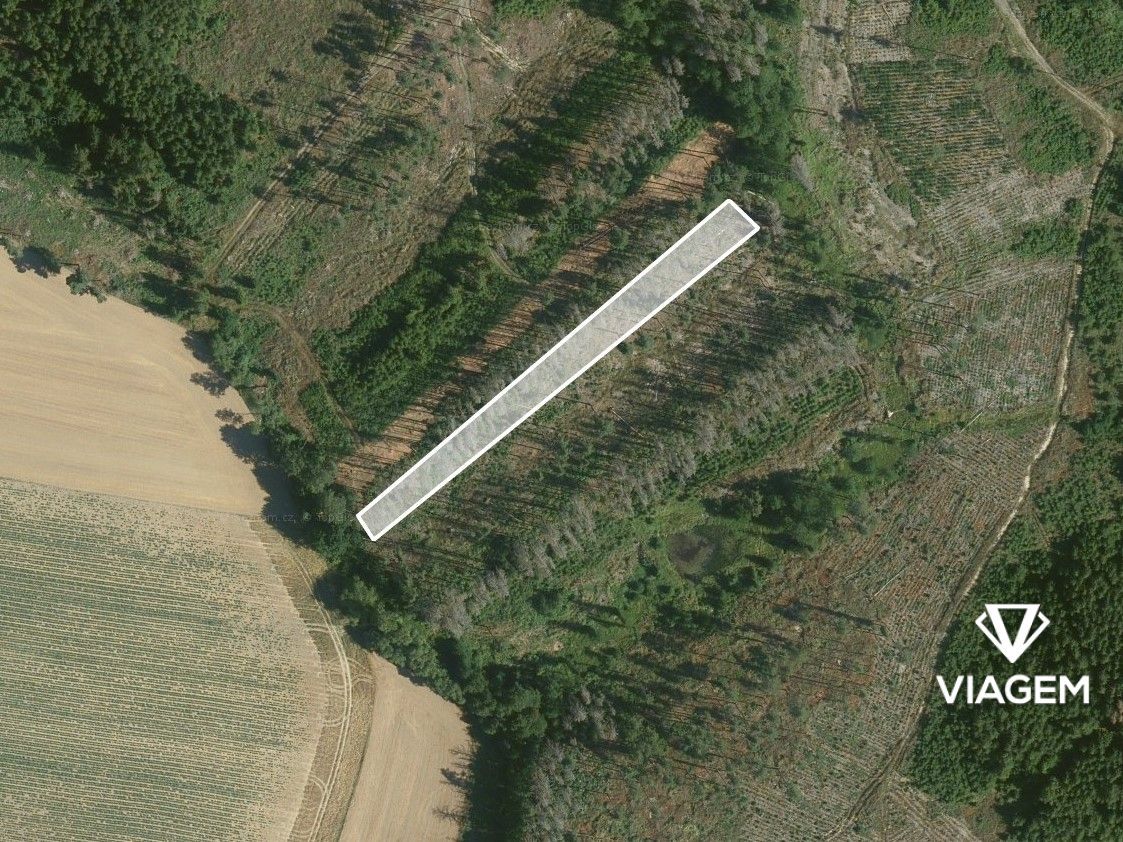 "Hledáte investici do lesního pozemku v okrese Benešov? Chce