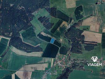 Hledáte ideální investici do budoucnosti? Co může být lepší 