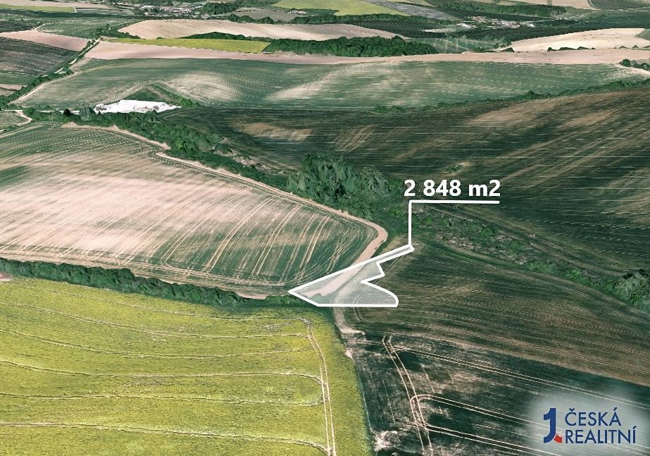 Hledáte ideální investici do budoucnosti? Co může být lepší 