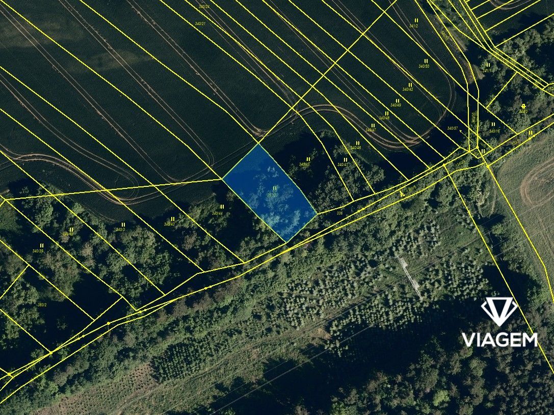 Hledáte investici, která vám zajistí stabilní zhodnocení a o