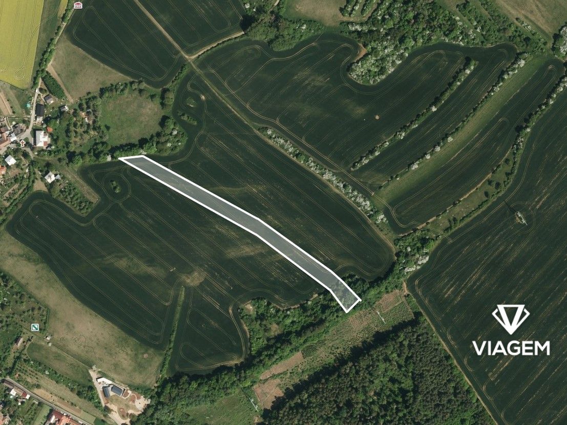 Hledáte investici, která vám zajistí stabilní zhodnocení a o