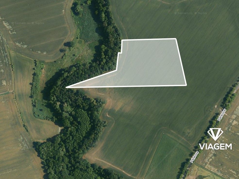 "Hledáte ideální investici do budoucnosti? Chcete mít jistot