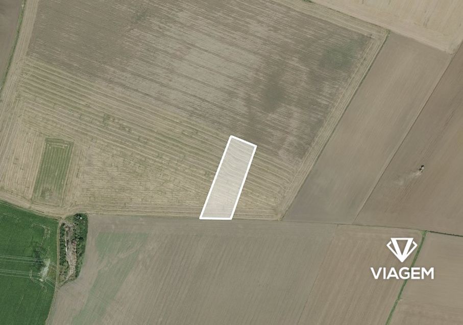 Hledáte ideální pozemek pro zemědělské využití? Chcete inves