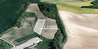 Hledáte investici, která vám zajistí stabilní příjem a ochra