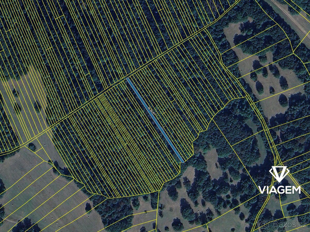 Láka Vás mít svůj vlastní les? Chcete mít 100% vlastnictví b