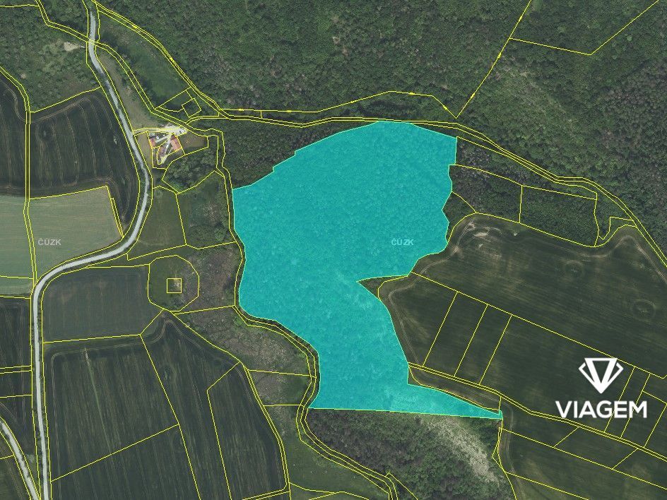 Hledáte investici do lesního pozemku v okrese Beroun? Chcete