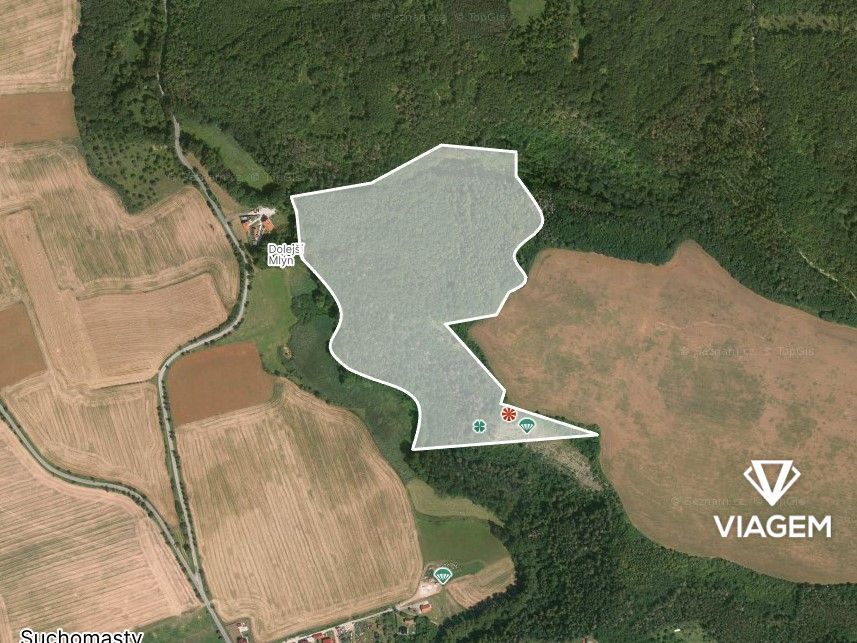 Hledáte investici do lesního pozemku v okrese Beroun? Chcete
