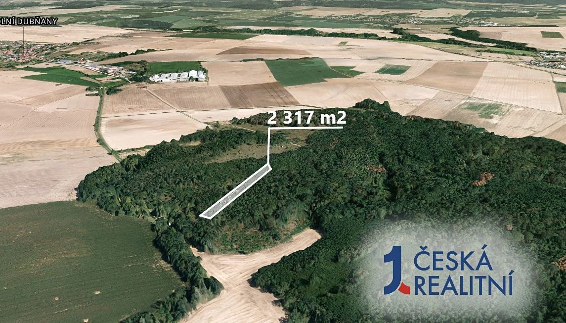 Hledáte investici do lesního pozemku v okrese Znojmo? Chcete