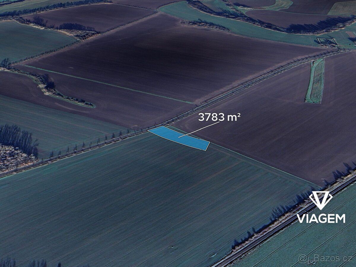 Hledáte ideální investici do budoucnosti? Co může být lepší 