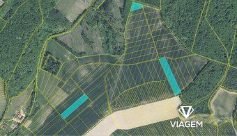 Hledáte ideální investici do budoucnosti? Co může být lepší 