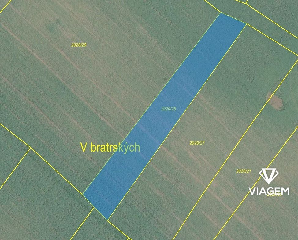 Hledáte investici, která vám zajistí stabilní příjem a ochra