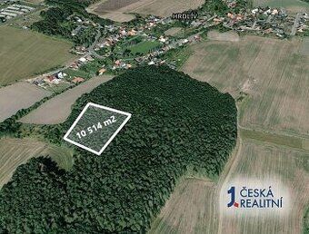 Exkluzivně Vám nabízíme pozemek v katastrálním území Hrdlív 