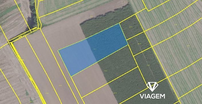 Hledáte ideální investici do budoucnosti? Chcete mít jistotu