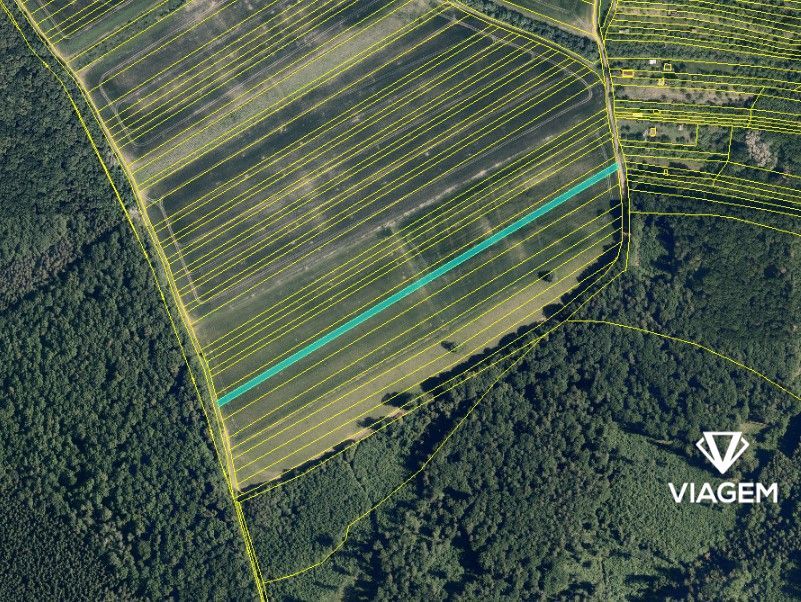 Hledáte investici, která se vyplatí? Chcete mít jistotu v dn