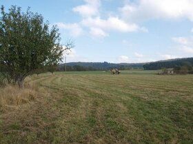 Nabízíme lesní pozemky v katastrálním území Hradiště u Domaž