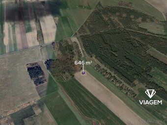 Hledáte investici, která se vyplatí? Chcete mít jistotu v do