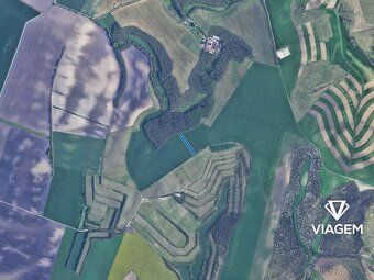 Hledáte ideální investici do budoucnosti? Co může být lepší 
