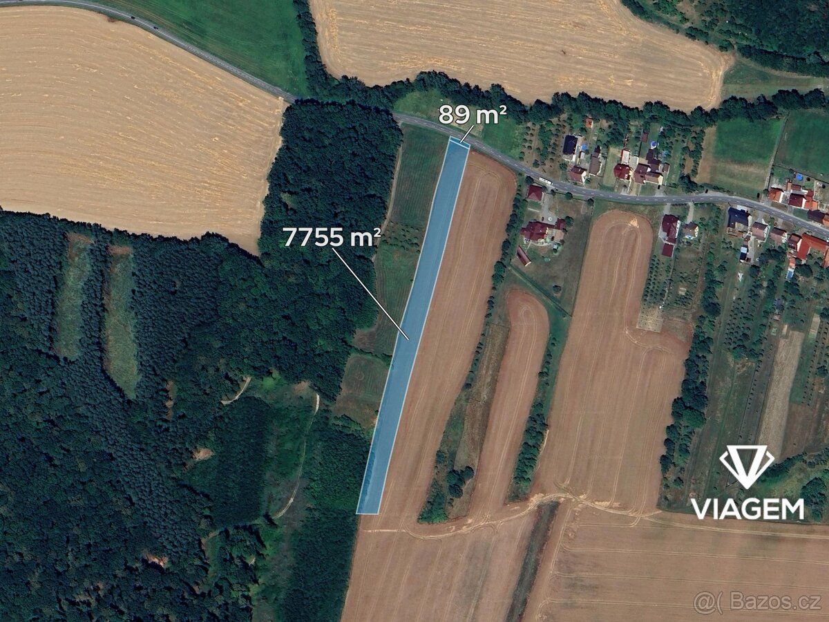 Hledáte ideální investici do budoucnosti? Co takhle pořízení