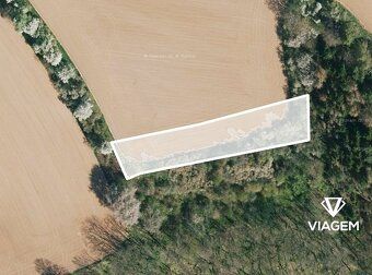 Hledáte investici, která vám zajistí stabilní příjem a ochra
