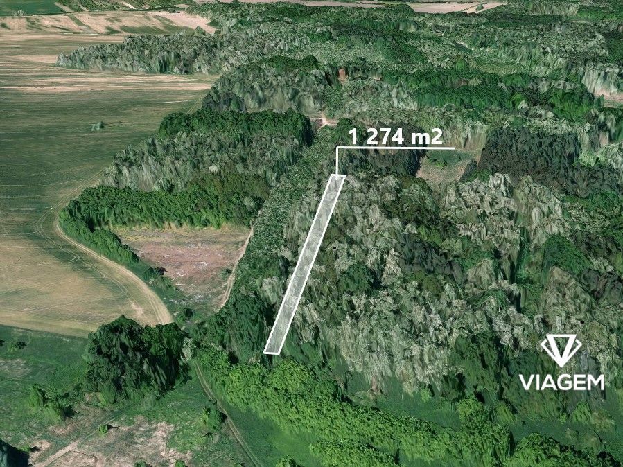 Láka Vás mít svůj vlastní les? Chcete mít 100% vlastnictví b