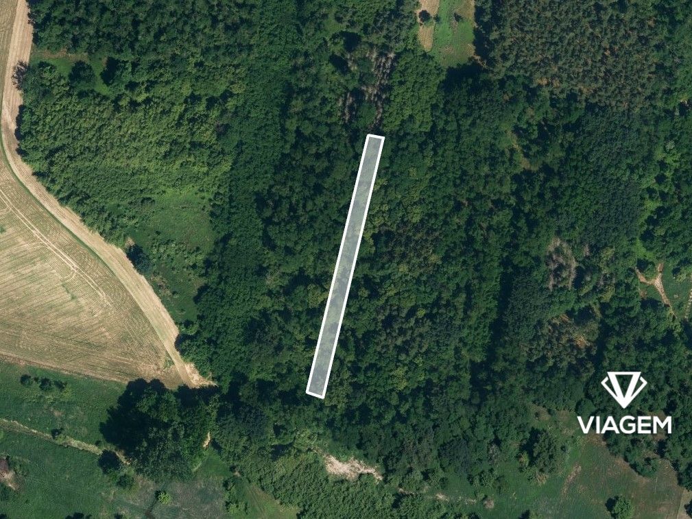 Láka Vás mít svůj vlastní les? Chcete mít 100% vlastnictví b