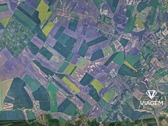 Nabízíme ornou půdu v katastrálním území Šitbořice, okres Bř