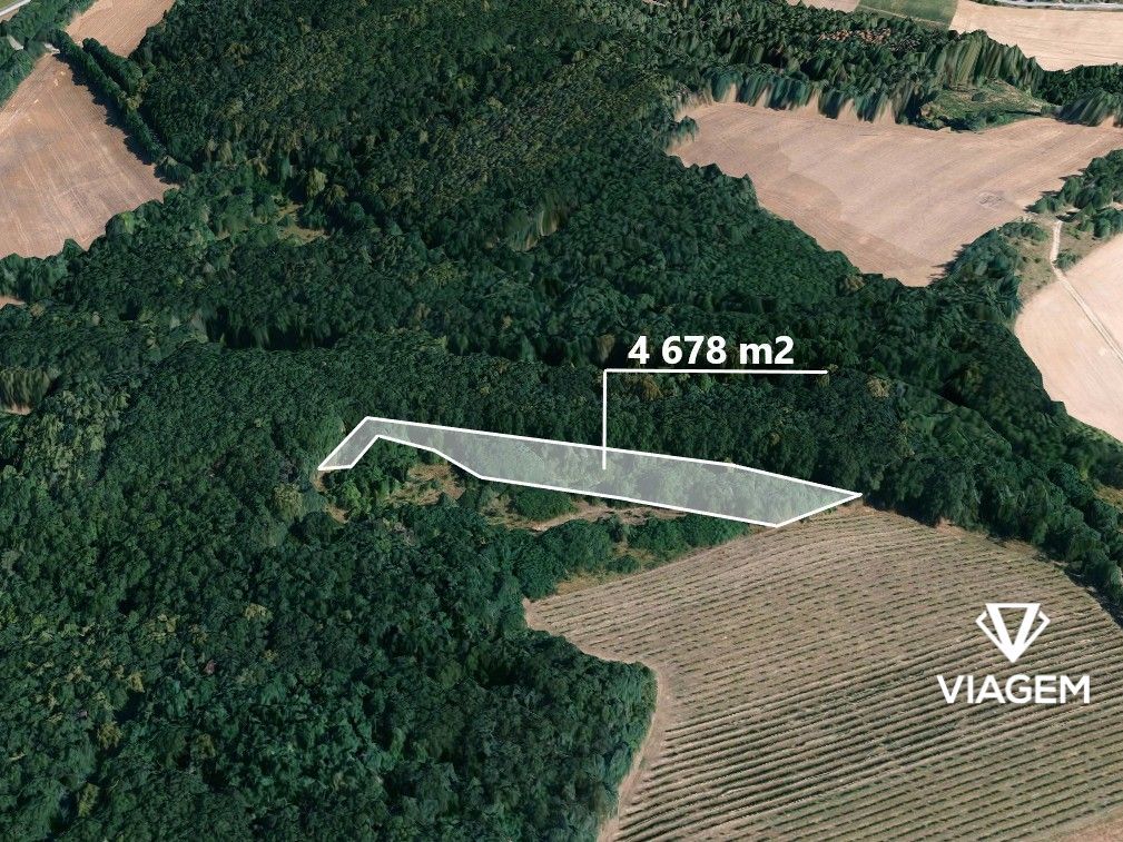 Hledáte ideální investici do nemovitostí? Máme pro vás skvěl