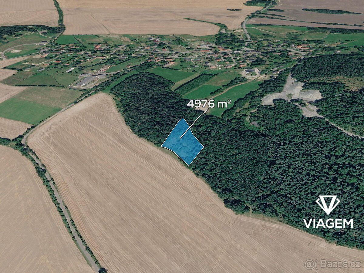 Nabízíme lesní pozemky v katastrálním území Tachov u Doks, o