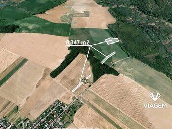 Hledáte ideální investici do budoucnosti? Co byste řekli na 