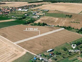 Hledáte ideální investici do budoucnosti? Co byste řekli na 