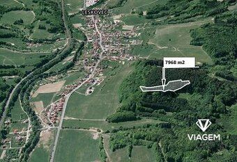 Láka Vás mít svůj vlastní les? Chcete mít 100% vlastnictví b