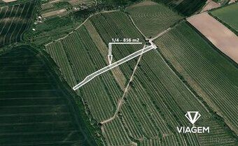 Hledáte investici, která vám přinese stabilní zisk a ochranu