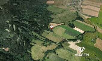 Hledáte investici, která vám zajistí stabilní příjem a ochra