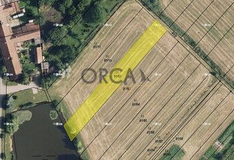 Nabízíme ornou půdu v katastrálním území Prostějovičky, okre