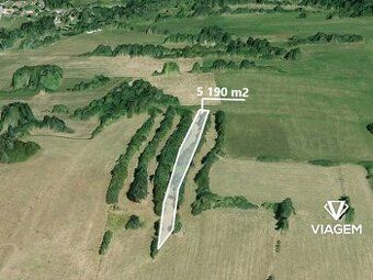 Hledáte ideální investici do budoucnosti? Co může být lepší 