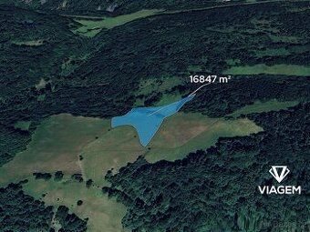 Hledáte investici, která vám zajistí stabilní příjem a ochra
