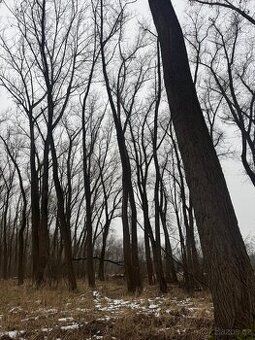 Nabízíme ornou půdu v okresu Nymburk, konkrétně v katastráln