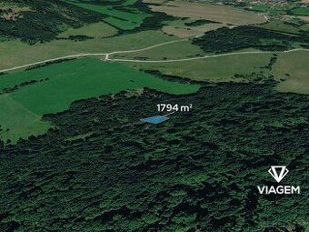 Nabízíme lesní pozemky v katastrálním území Česká Kamenice, 