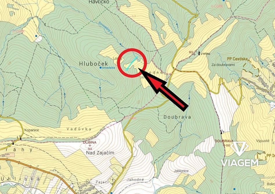 Hledáte investici, která se vyplatí? Chcete mít jistotu, že 