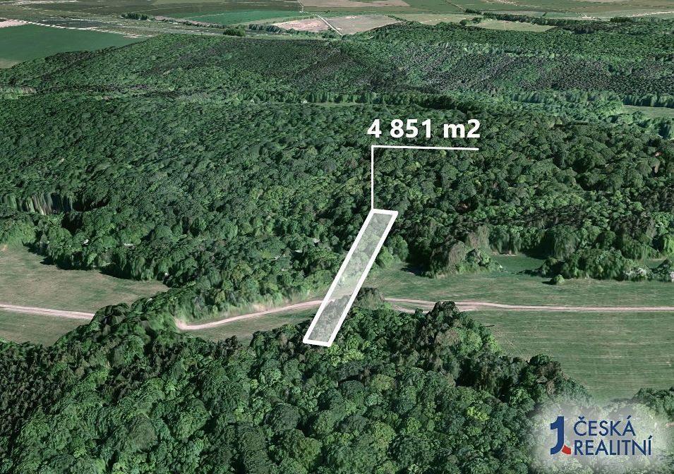 Hledáte investici, která se vyplatí? Chcete mít jistotu, že 