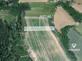 Hledáte ideální investici do budoucnosti? Chcete mít jistotu
