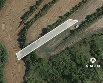 Hledáte ideální investici do budoucnosti? Chcete mít jistotu