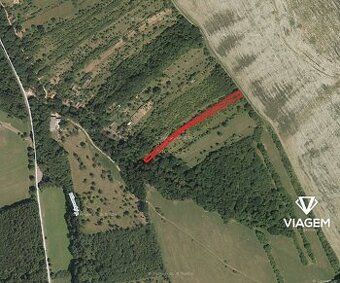 Nabízíme Vám ke koupi pozemky v katastrálním území Veletiny,