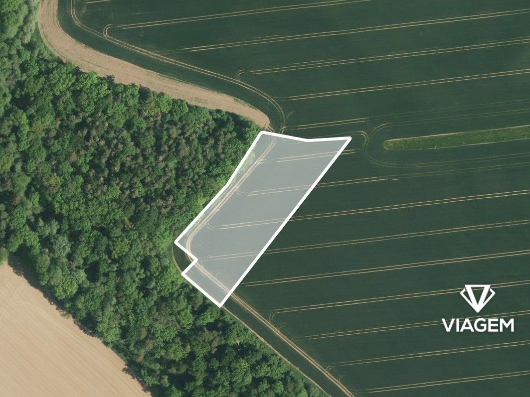 Hledáte ideální investici do budoucnosti? Chcete mít jistotu