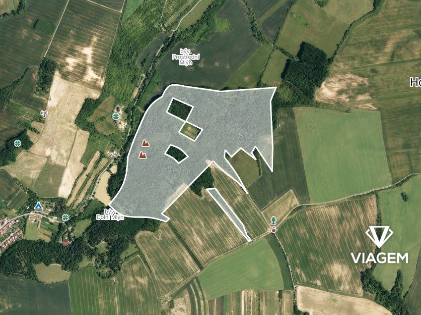 Hledáte investici do lesního pozemku v okrese Hodonín? Chcet