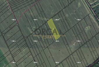 Nabízíme ornou půdu v okresu Zlín, katastrální území Žlutava